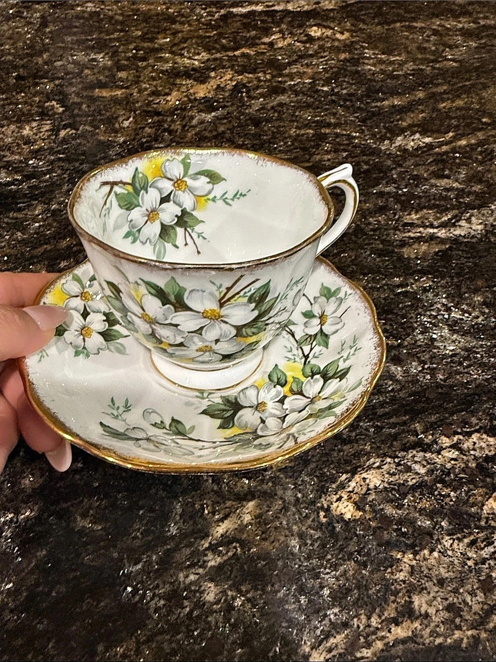 Royal Albert White Dogwood Teacup and Saucer Floral Teacup & Saucer White &